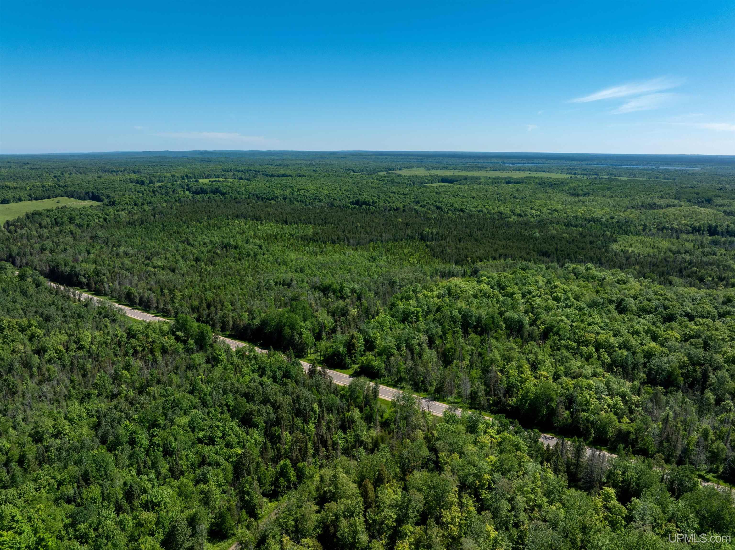 M67 Rd Trenary Mi 49816 Road Chatham, MI 49816 - Photo 6 of 12