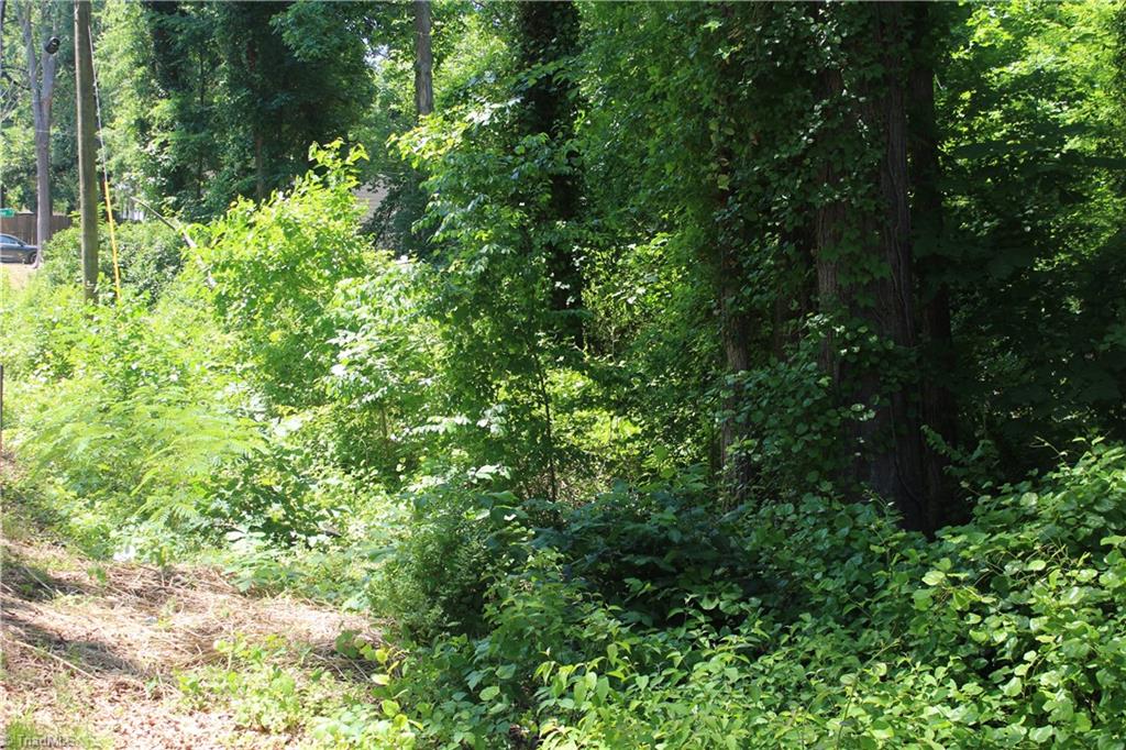 1801 East Commerce Avenue High Point, NC 27260 - Photo 15 of 17
