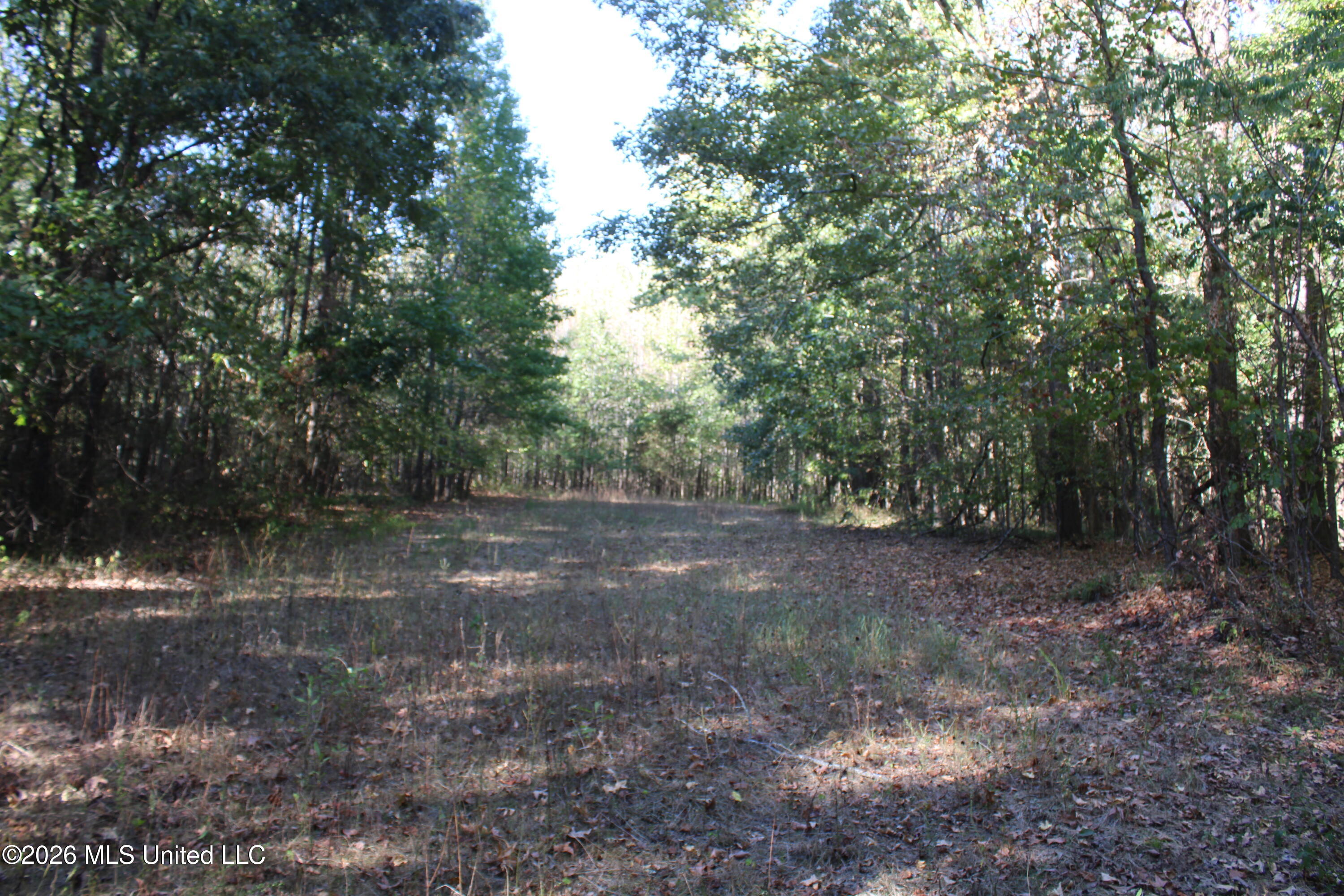 15 Tulane Road Nesbit, MS 38651 - Photo 29 of 64 IMG_8244