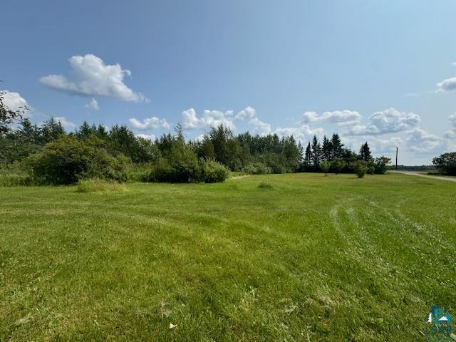 9015 Arkola Road Cotton, MN 55724 - Photo 15 of 21 View of yard