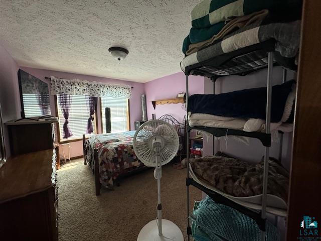 9015 Arkola Road Cotton, MN 55724 - Photo 5 of 21 Bedroom with carpet floors and a textured ceiling
