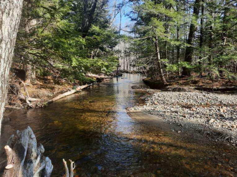 Langdon Brook