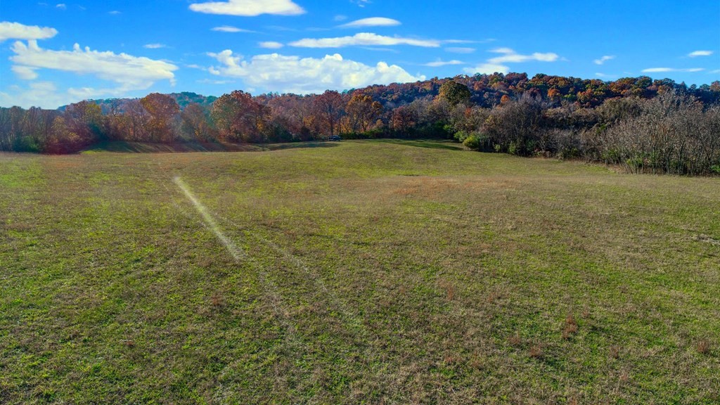 2041 Bluff Road Parrottsville, TN 37843 - Photo 34 of 38 Gallery Image 34