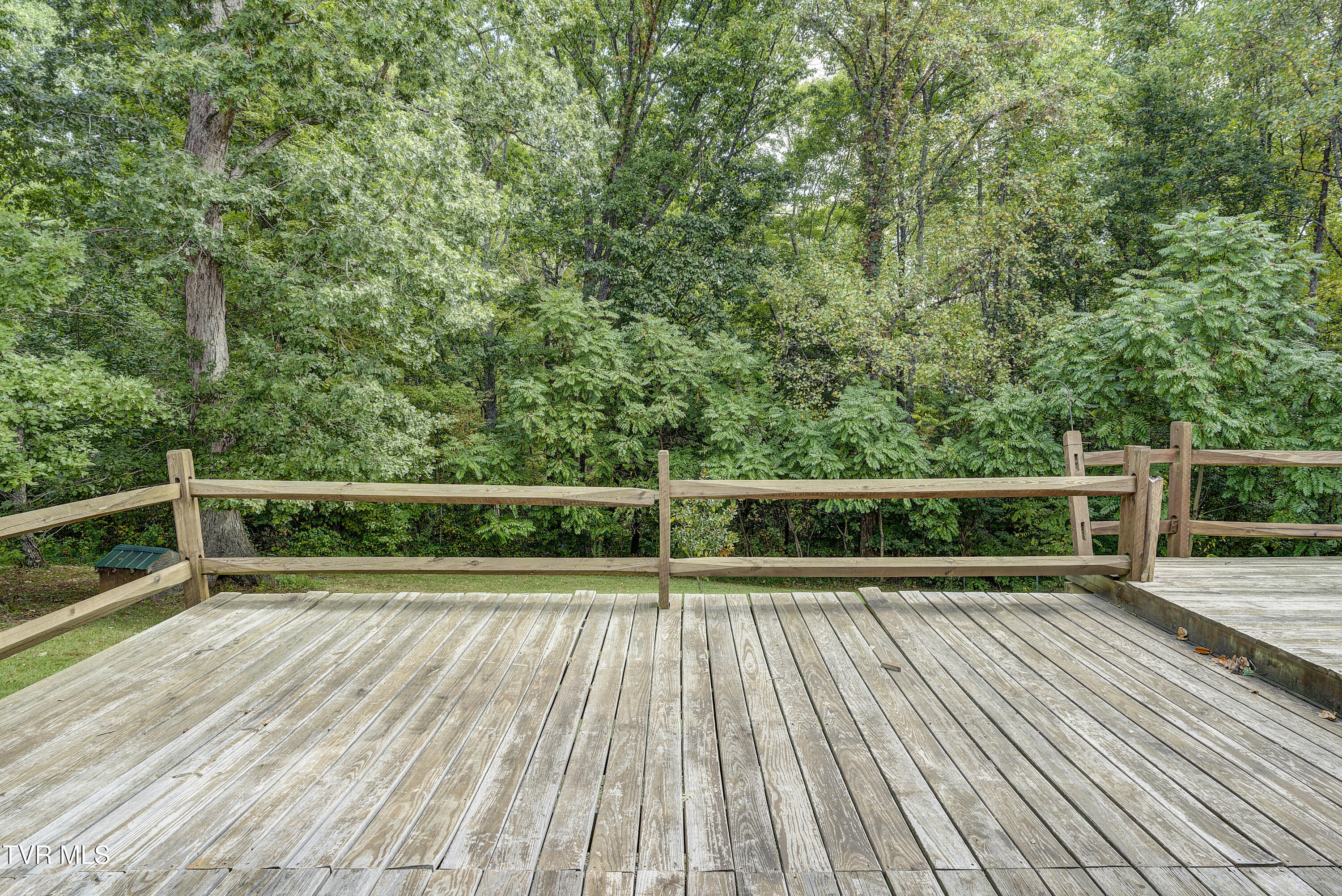 165 Horse Creek Road Chuckey, TN 37641 - Photo 35 of 57 HorseCreek-35