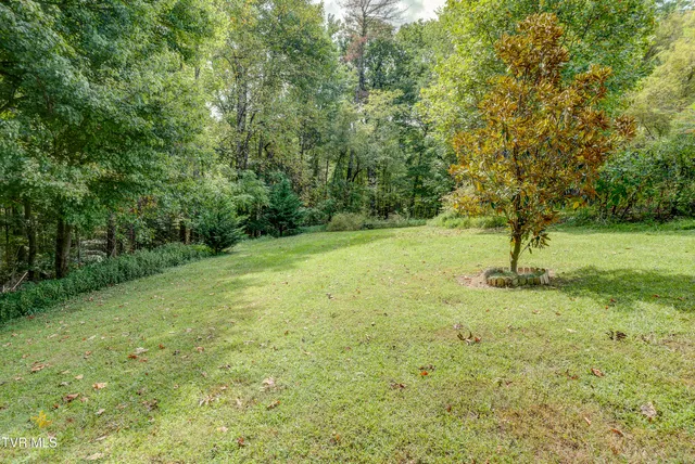 $180,000 | 165 Horse Creek Road, Chuckey, TN 37641