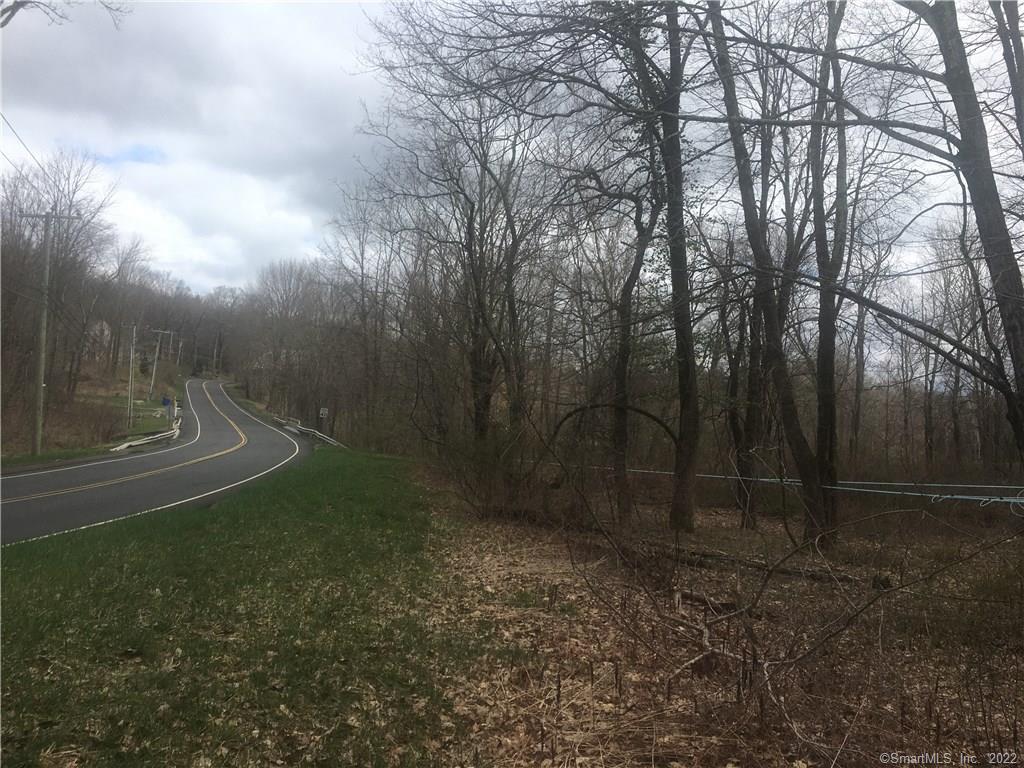 688 Cherry Brook Road Barkhamsted, CT 06063 - Photo 1 of 1 a view of backyard with green space