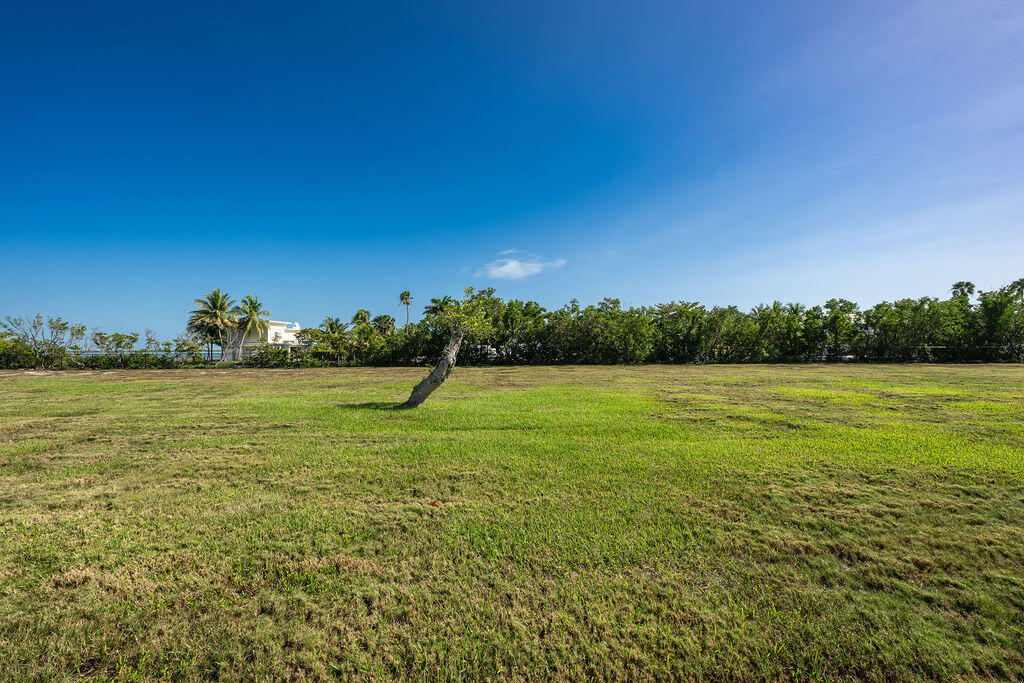 17279 Pine Tree Lane Sugarloaf, FL 33042 - Photo 29 of 33 a view of a field with an ocean