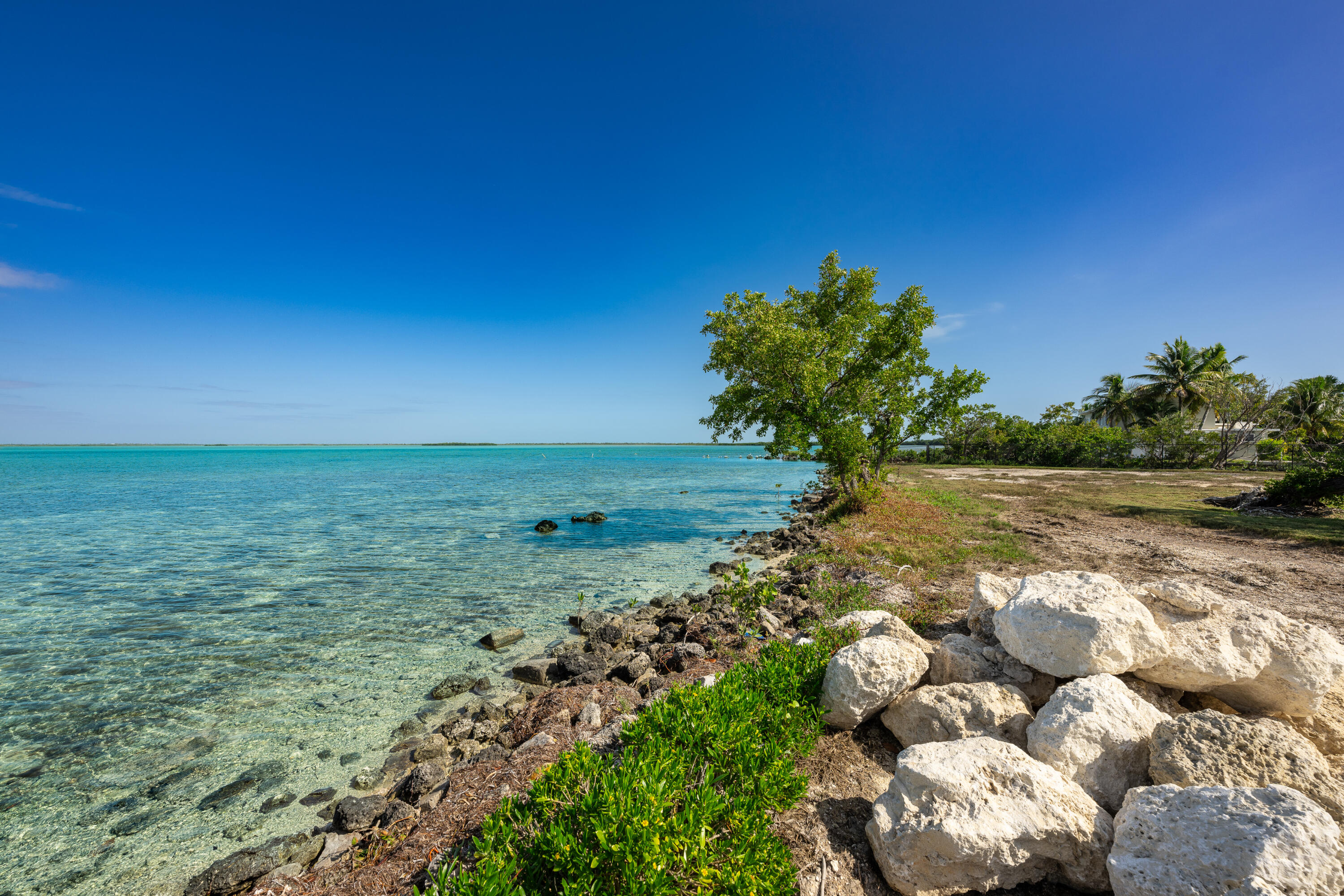 17279 Pine Tree Lane Sugarloaf, FL 33042 - Photo 5 of 33 a view of a lake with a yard