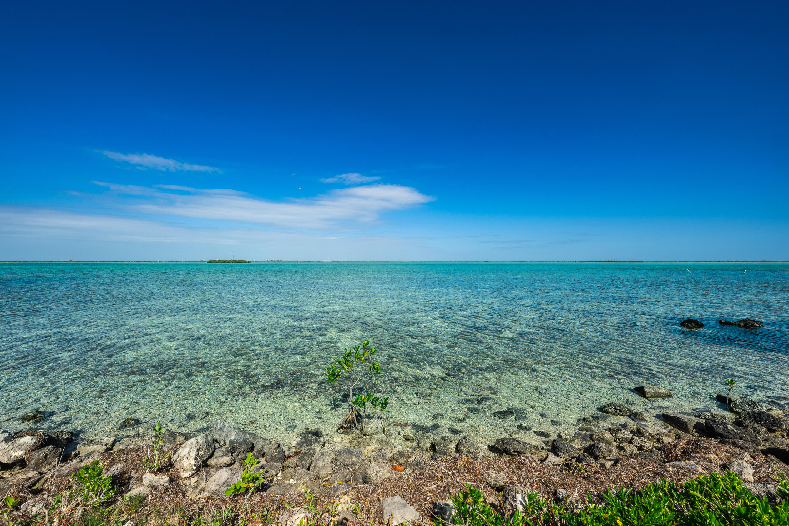 17279 Pine Tree Lane Sugarloaf, FL 33042 - Photo 6 of 33 a view of a field with an ocean