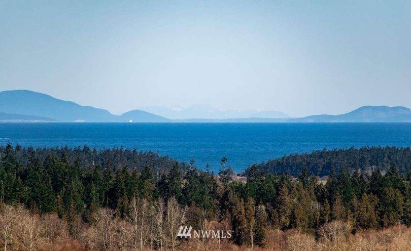 0 Miller Road Sequim, WA 98382 - Photo 4 of 31 Gallery Image 4