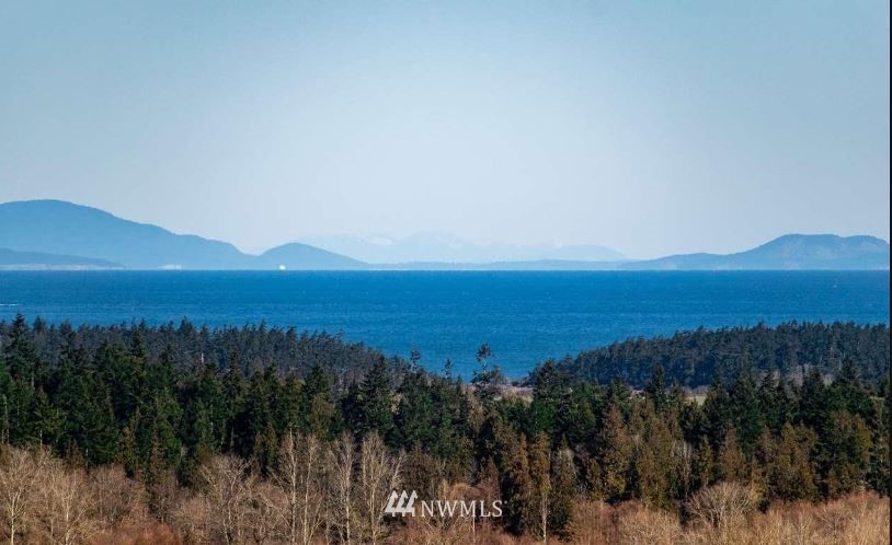0 Miller Road Sequim, WA 98382 - Photo 8 of 31 Gallery Image 8