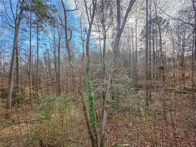 a view of a pathway of a yard