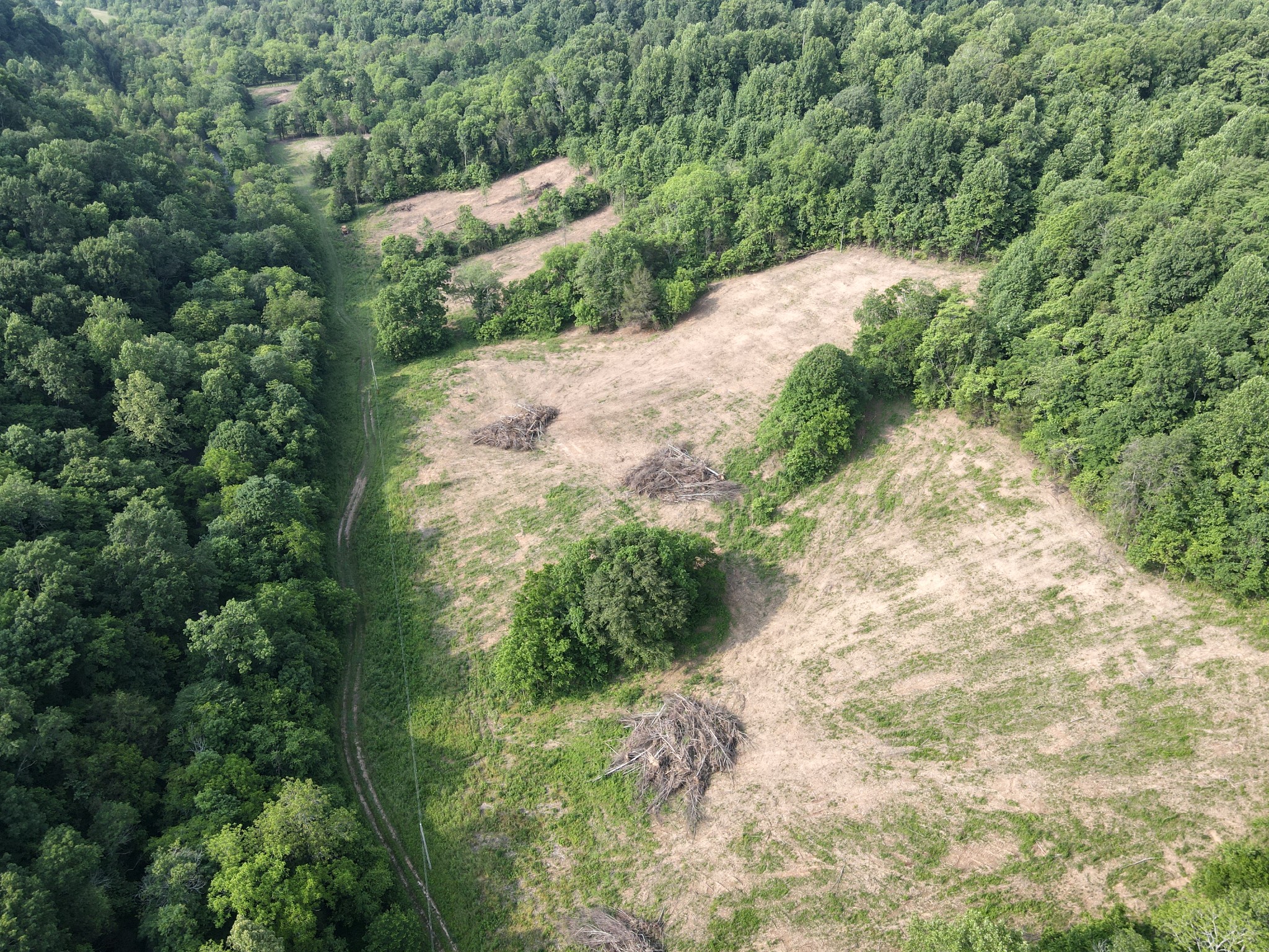 0 Cole Ridge Road Wartrace, TN 37183 - Photo 3 of 4 a view of a yard with plants