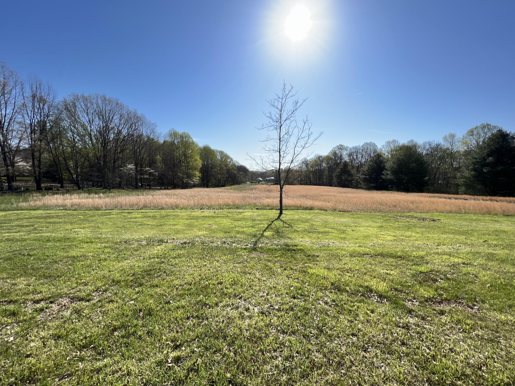 4225 Jernigan Road White House, TN 37188 - Photo 15 of 15 a view of a field with a tree in the background