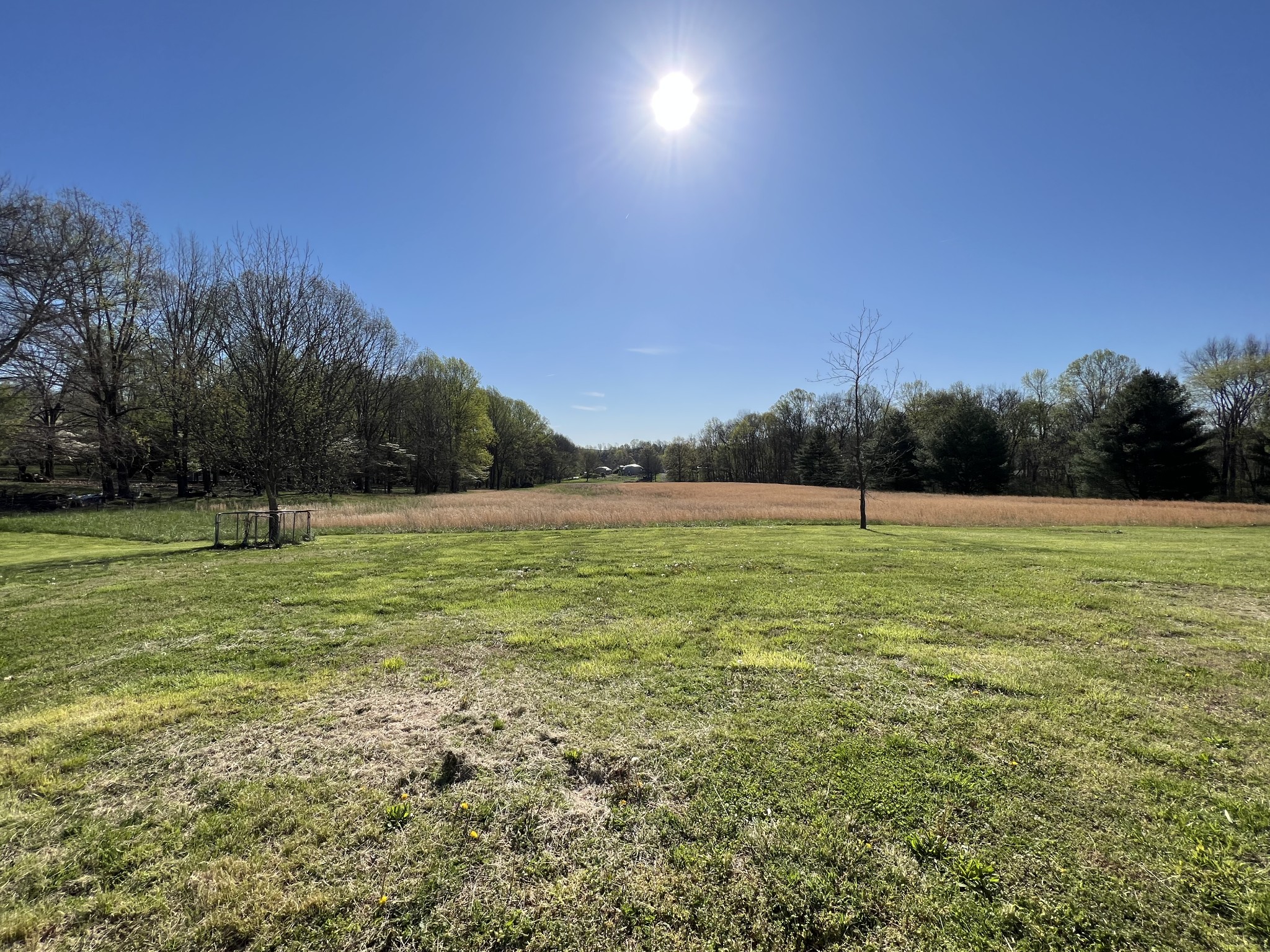4225 Jernigan Road White House, TN 37188 - Photo 8 of 15 a view of outdoor space with green field and trees