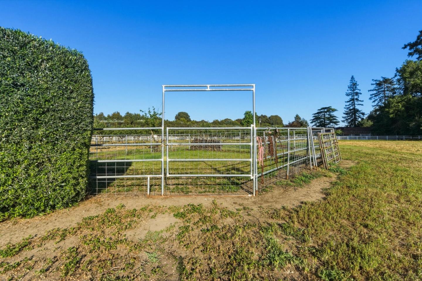 3390 Fallon Road Hollister, CA 95023 - Photo 95 of 104 Gallery Image 95