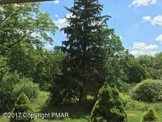 197 Devils Hole Road Cresco, PA 18326 - Photo 27 of 27 a view of outdoor space and yard