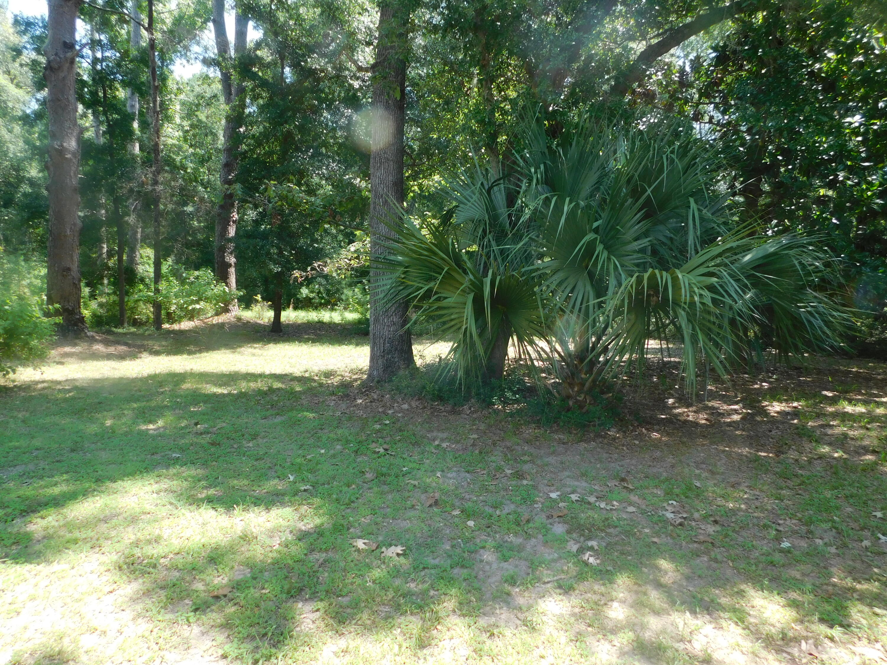 8192 Red House Road Edisto Island, SC 29438 - Photo 28 of 31 DSCN1655