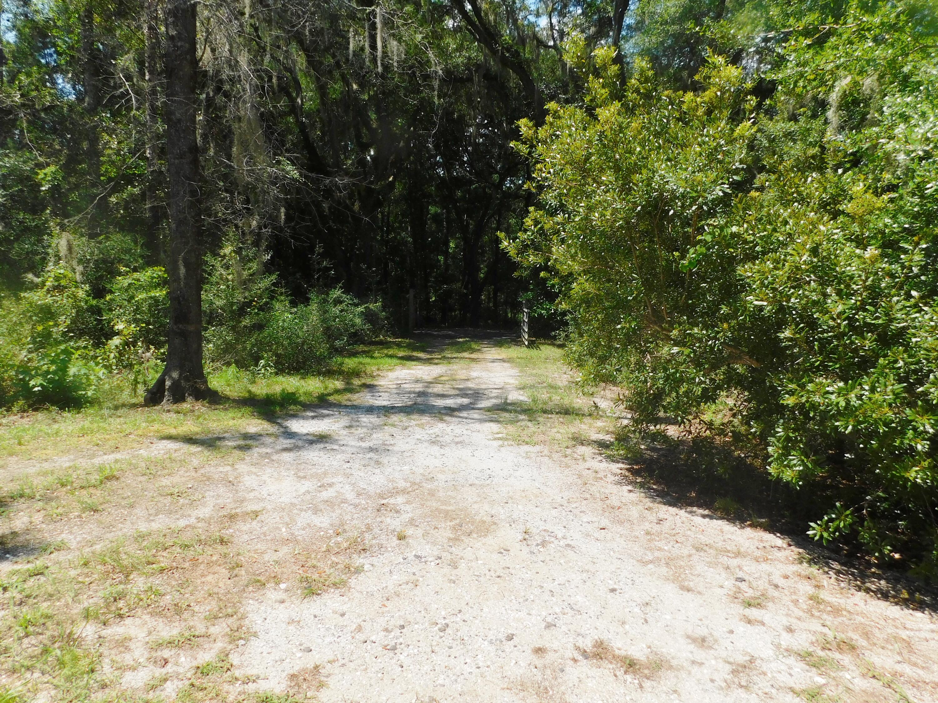 8192 Red House Road Edisto Island, SC 29438 - Photo 29 of 31 DSCN1665