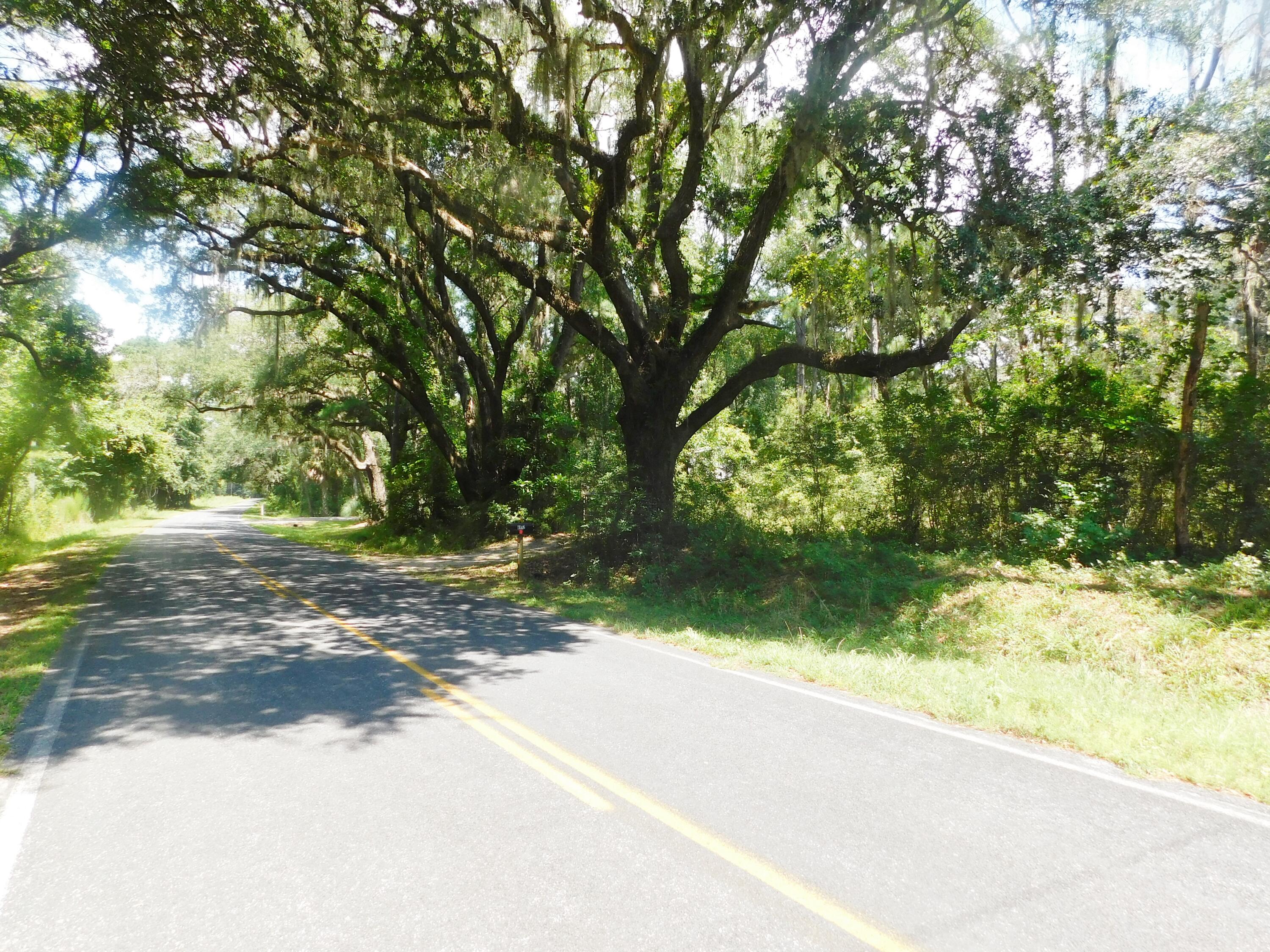 8192 Red House Road Edisto Island, SC 29438 - Photo 31 of 31 DSCN1667