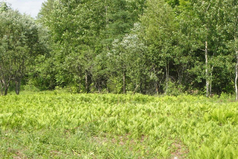 0 Us-202 Winthrop, ME 04364 - Photo 52 of 87 2020-01-06_11-28-35