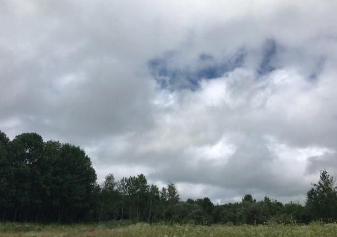 0 Us-202 Winthrop, ME 04364 - Photo 59 of 87 2020-01-06_11-29-45