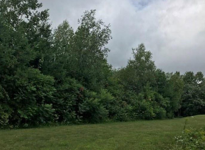 0 Us-202 Winthrop, ME 04364 - Photo 61 of 87 2020-01-06_11-30-01