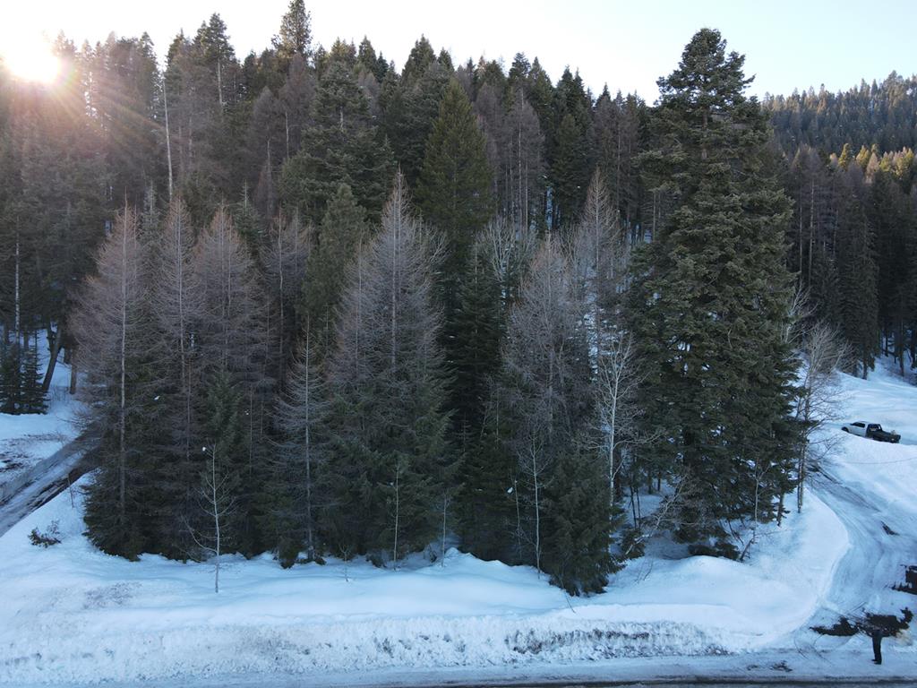 1457 West Mountain Rd Unit 2A45  