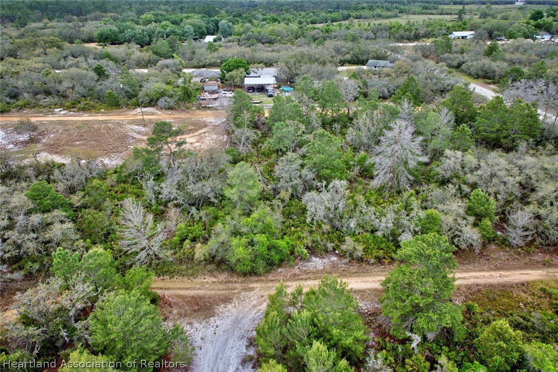 2521 Mason Road Avon Park, FL 33825 - Photo 5 of 7 an aerial view of residential house with outdoor space and trees all around