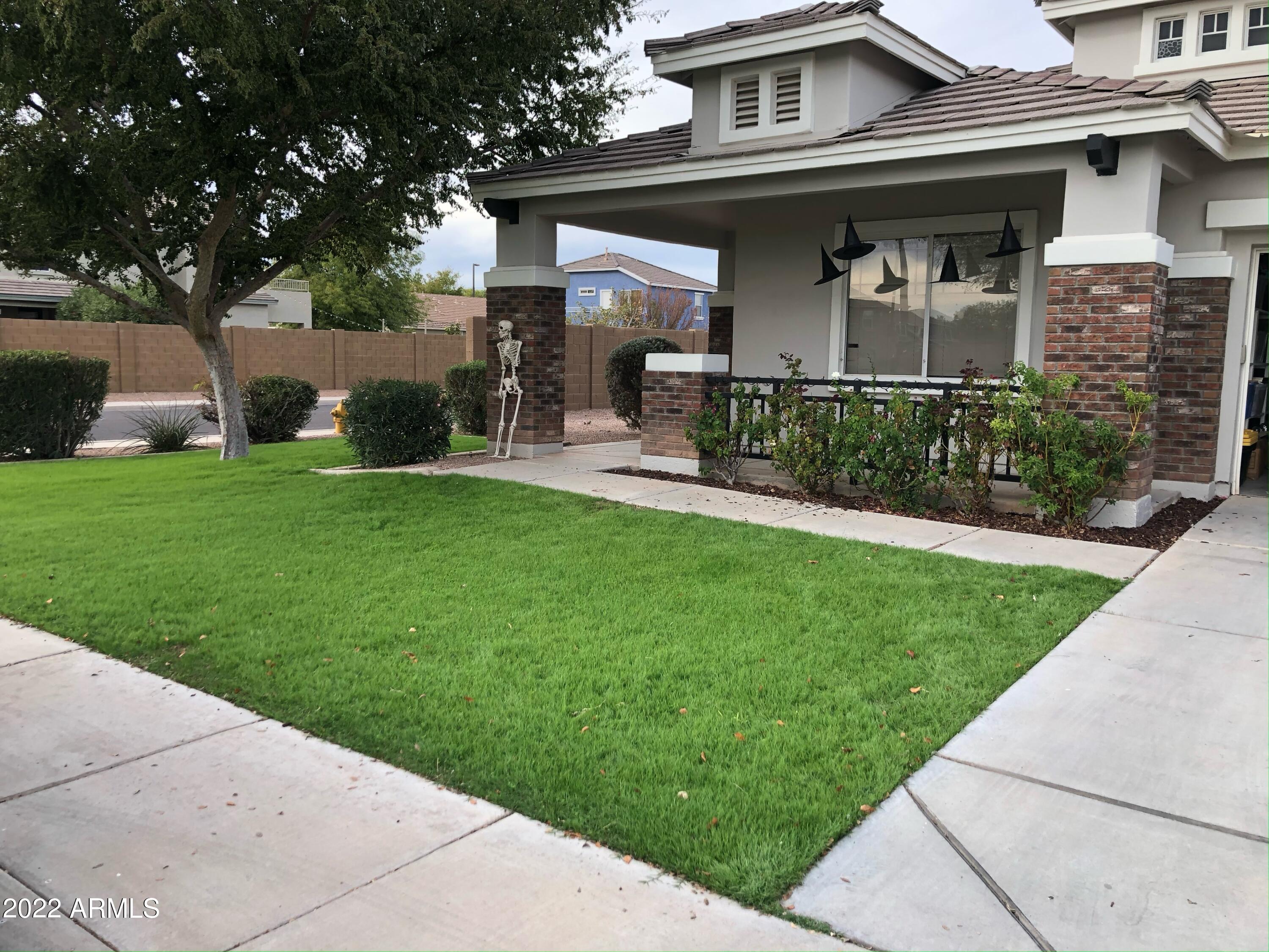 2634 East Del Rio Street Gilbert, AZ 85295 - Photo 14 of 14 IMG_2986