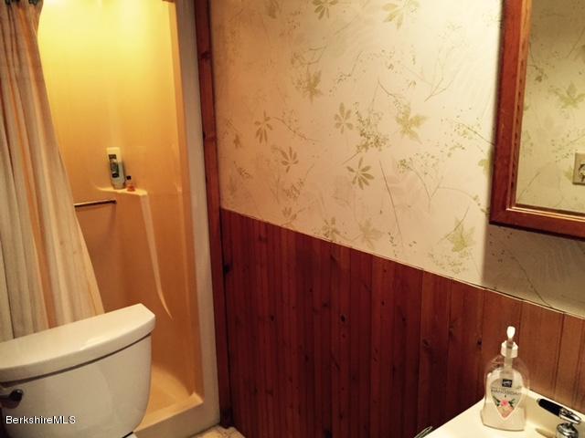 117 Middlefield Road Peru, MA 01235 - Photo 14 of 18 a bathroom with a toilet and shower