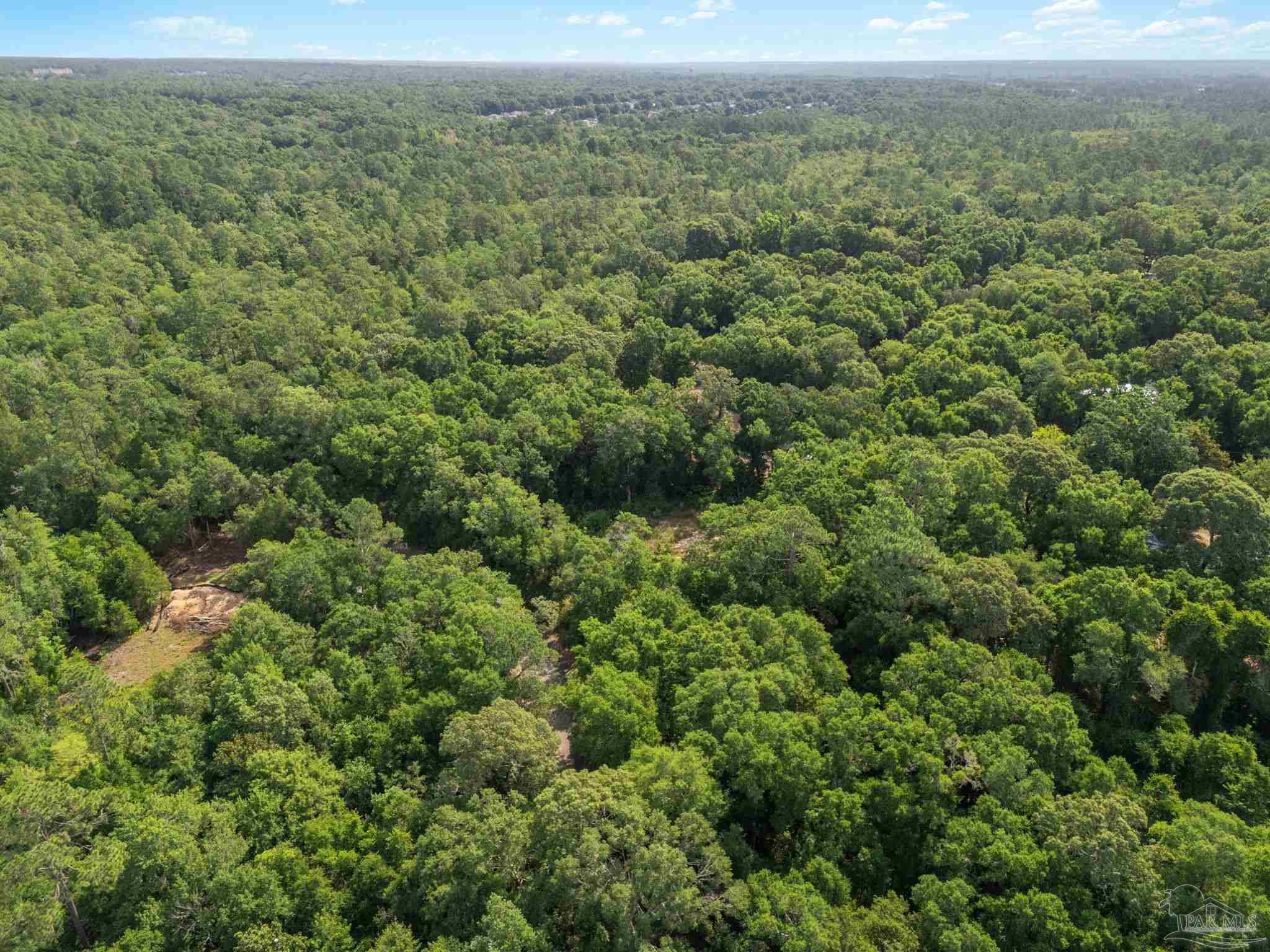 4948 Timothy Twitchell Drive Milton, FL 32583 - Photo 11 of 20 an aerial view of residential houses with outdoor space and trees