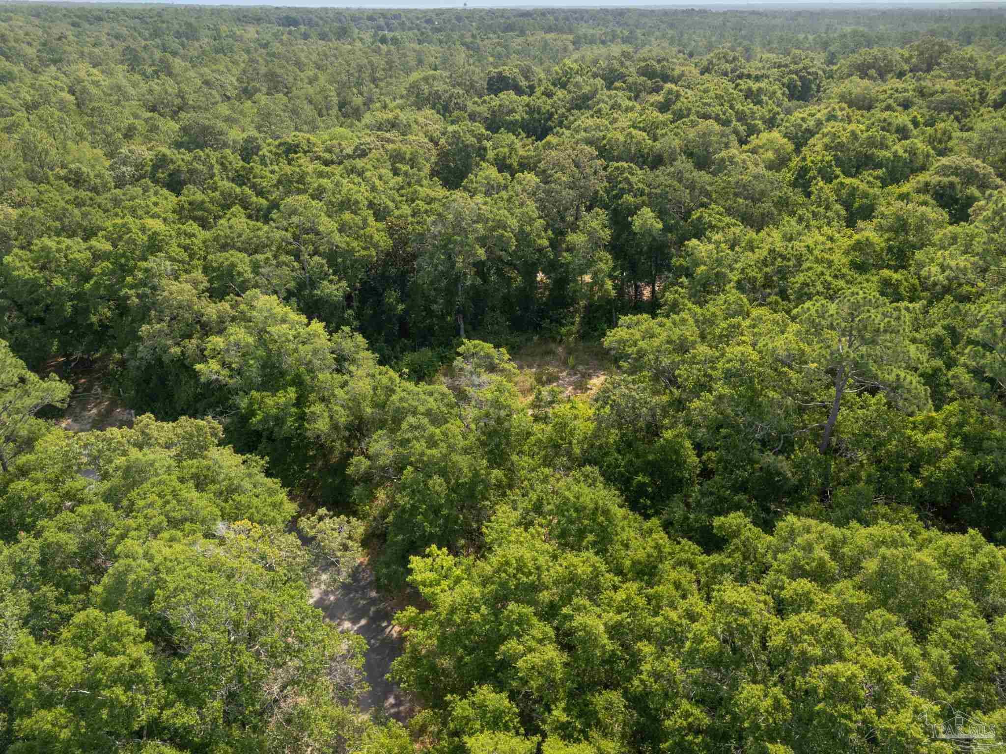 4948 Timothy Twitchell Drive Milton, FL 32583 - Photo 12 of 20 an aerial view of residential house with space and trees all around