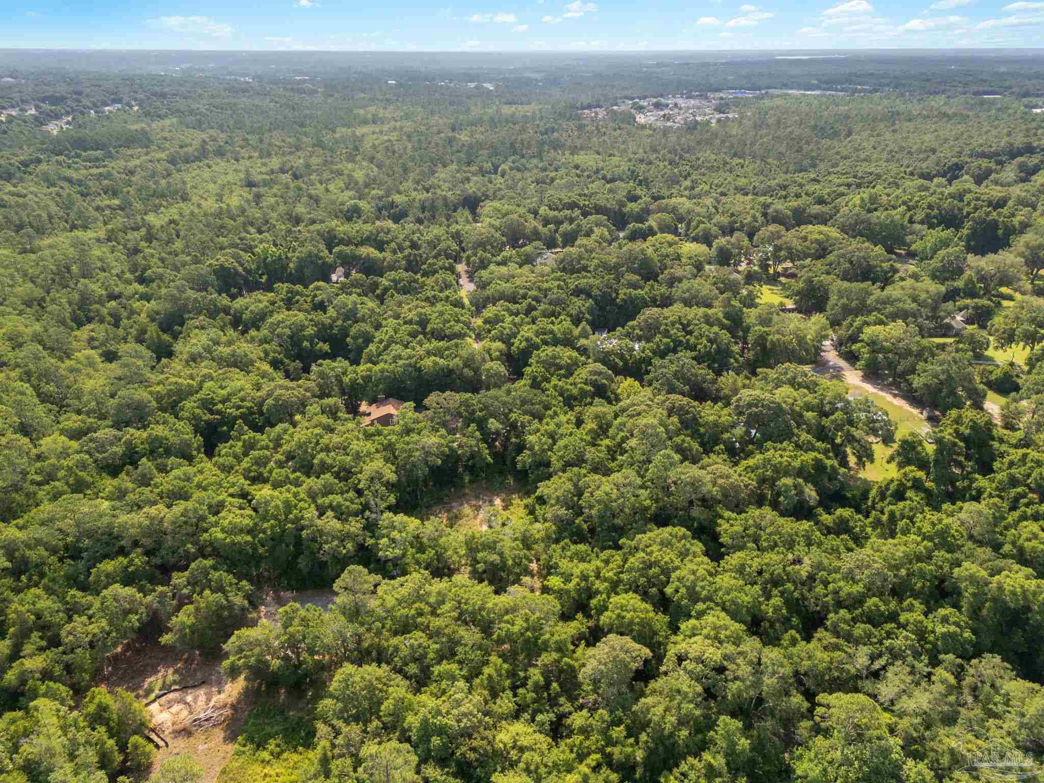 4948 Timothy Twitchell Drive Milton, FL 32583 - Photo 13 of 20 an aerial view of residential houses with outdoor space and trees