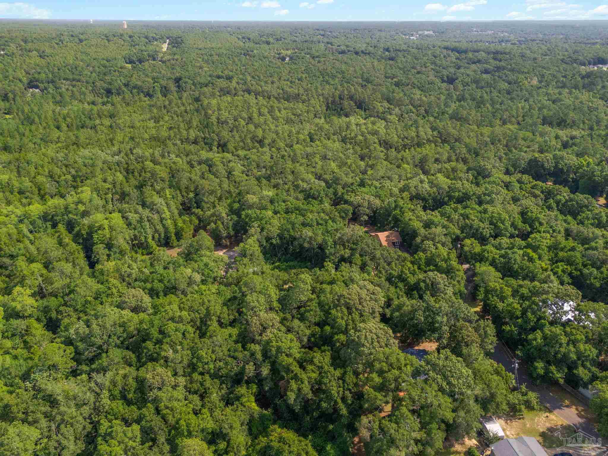 4948 Timothy Twitchell Drive Milton, FL 32583 - Photo 17 of 20 a view of a forest with a street