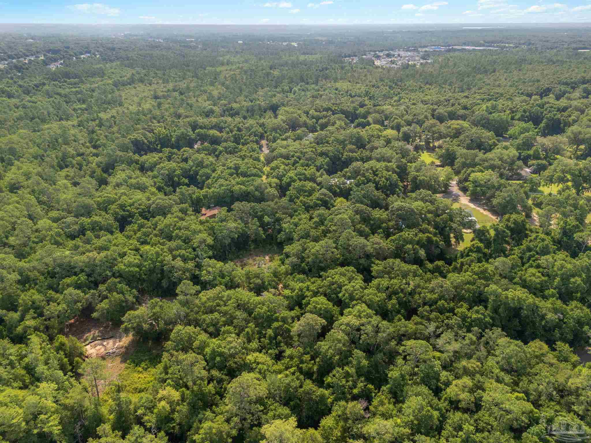 4948 Timothy Twitchell Drive Milton, FL 32583 - Photo 18 of 20 an aerial view of residential houses with outdoor space and trees