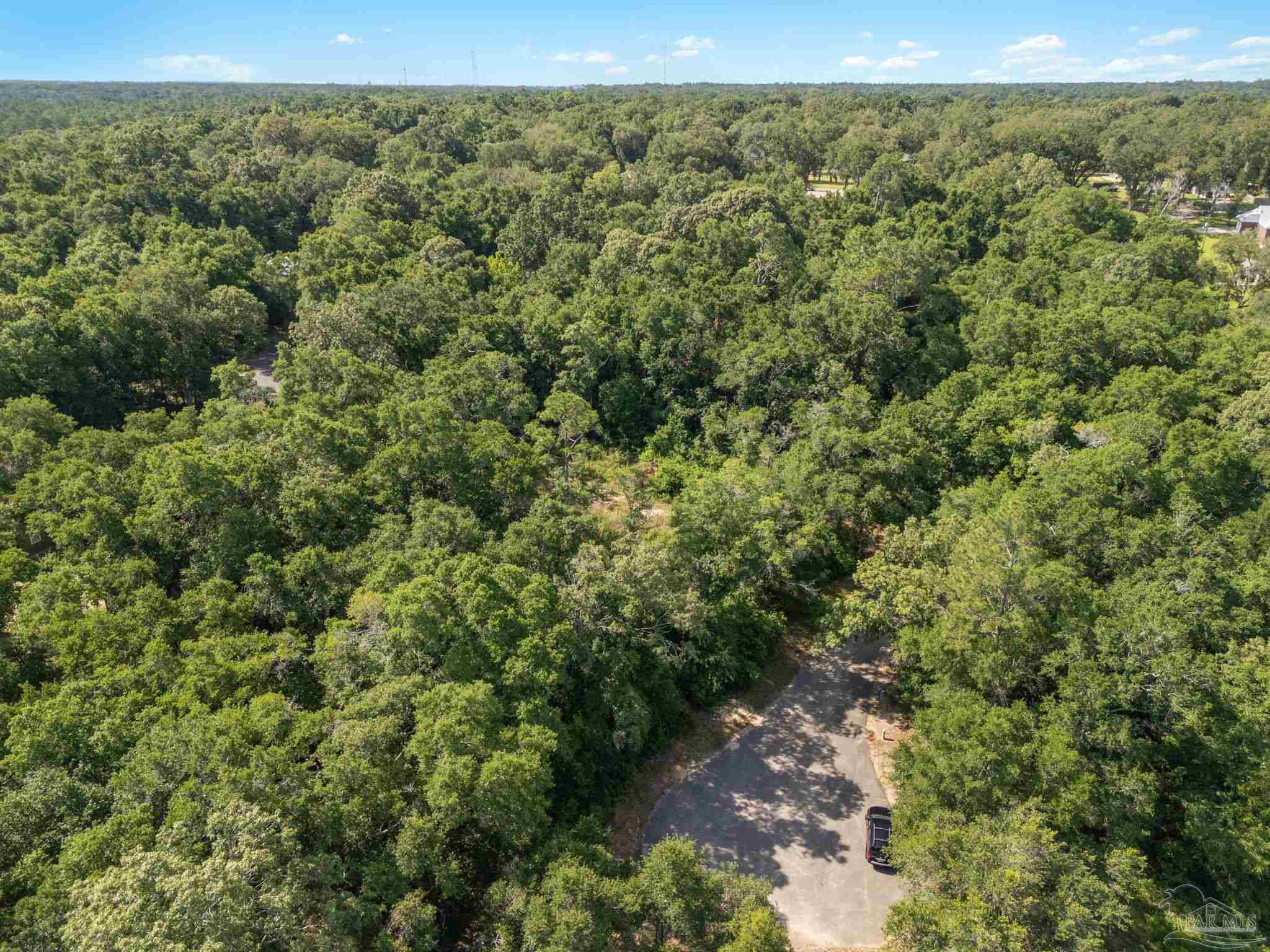 4948 Timothy Twitchell Drive Milton, FL 32583 - Photo 20 of 20 a view of a forest with a street