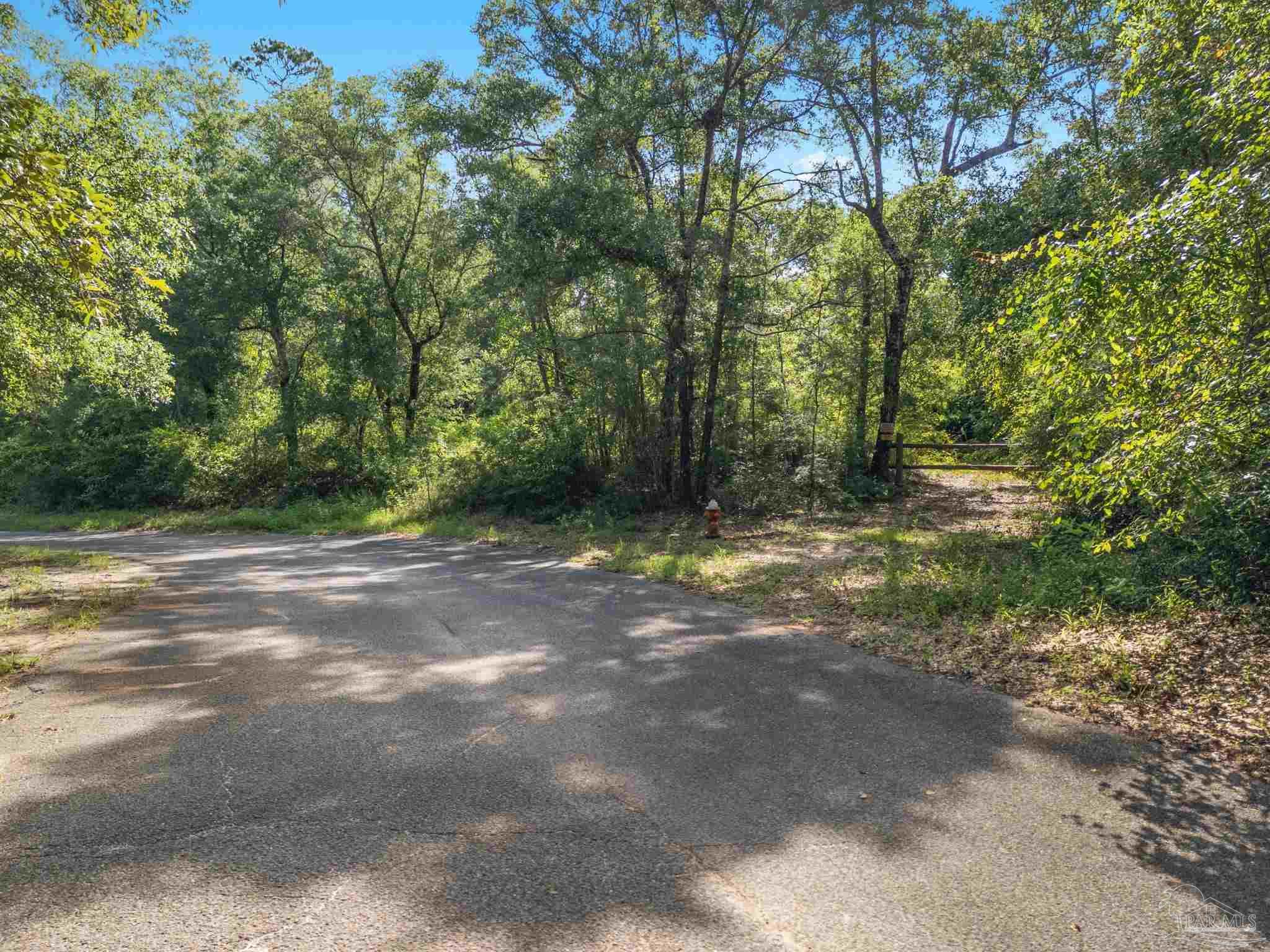 4948 Timothy Twitchell Drive Milton, FL 32583 - Photo 2 of 20 a view of outdoor space with trees