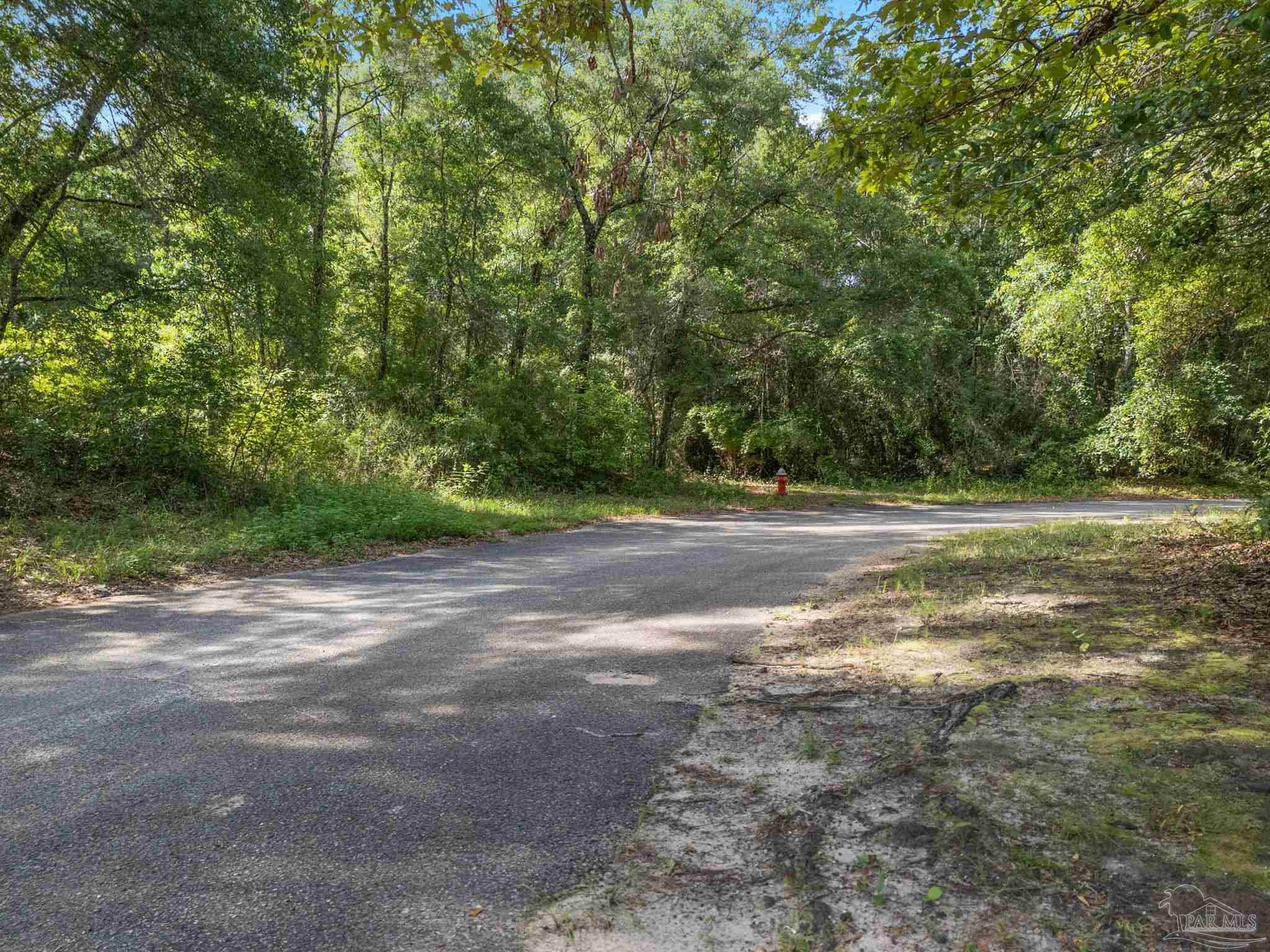 4948 Timothy Twitchell Drive Milton, FL 32583 - Photo 3 of 20 a backyard of a house with lots of green space