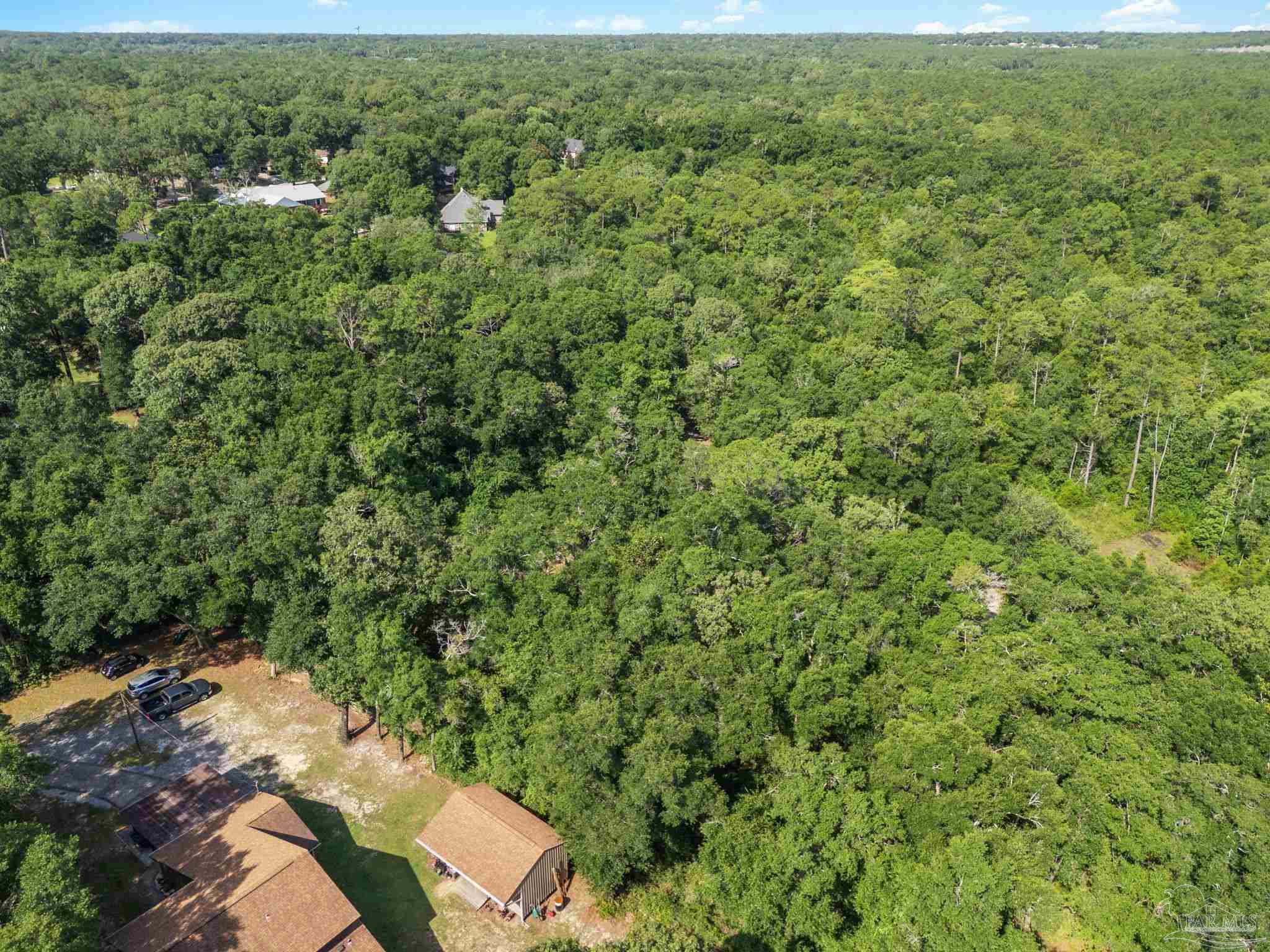 4948 Timothy Twitchell Drive Milton, FL 32583 - Photo 9 of 20 a view of a field of grass and trees
