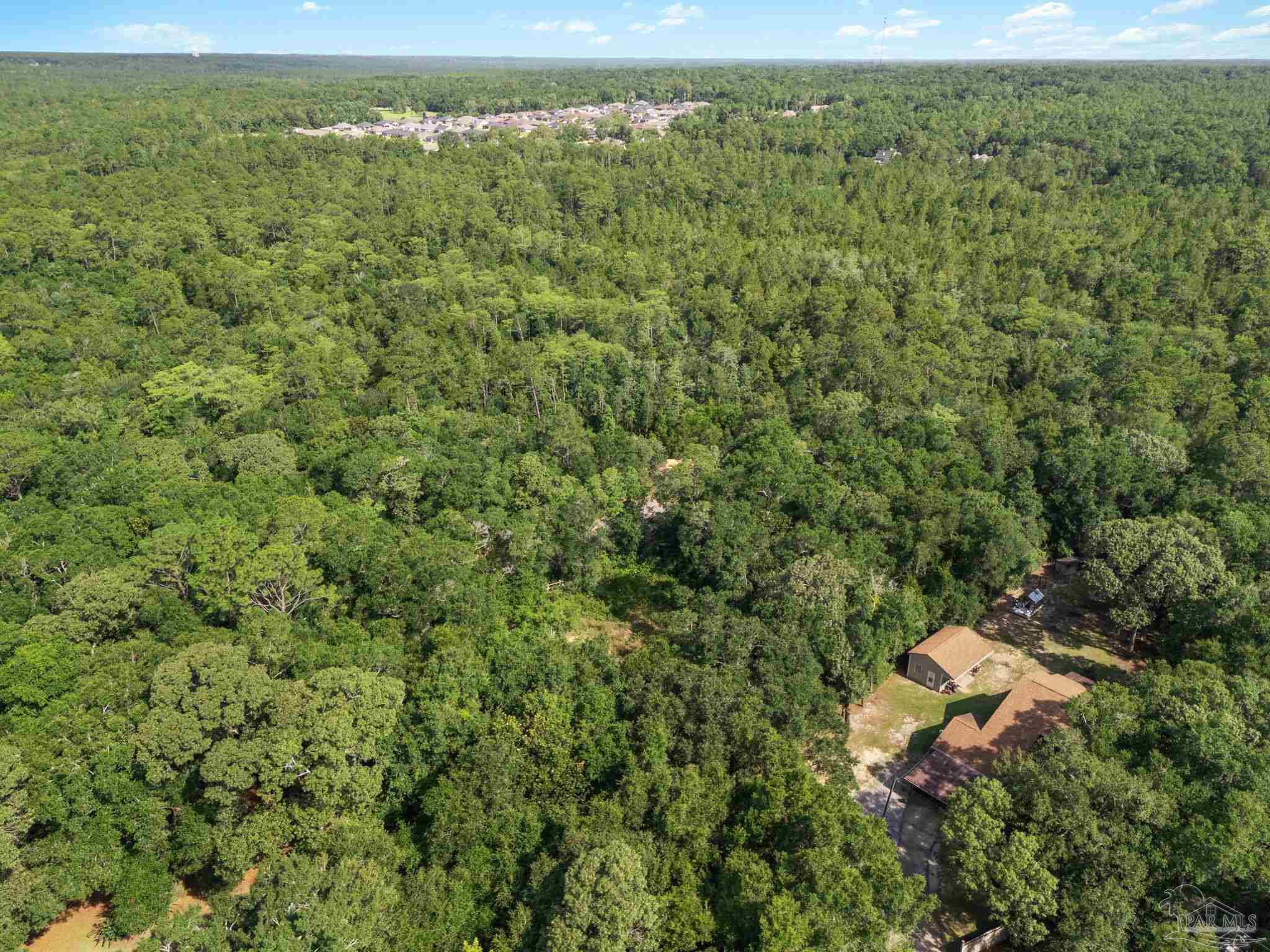 4948 Timothy Twitchell Drive Milton, FL 32583 - Photo 10 of 20 a view of a city with lush green forest