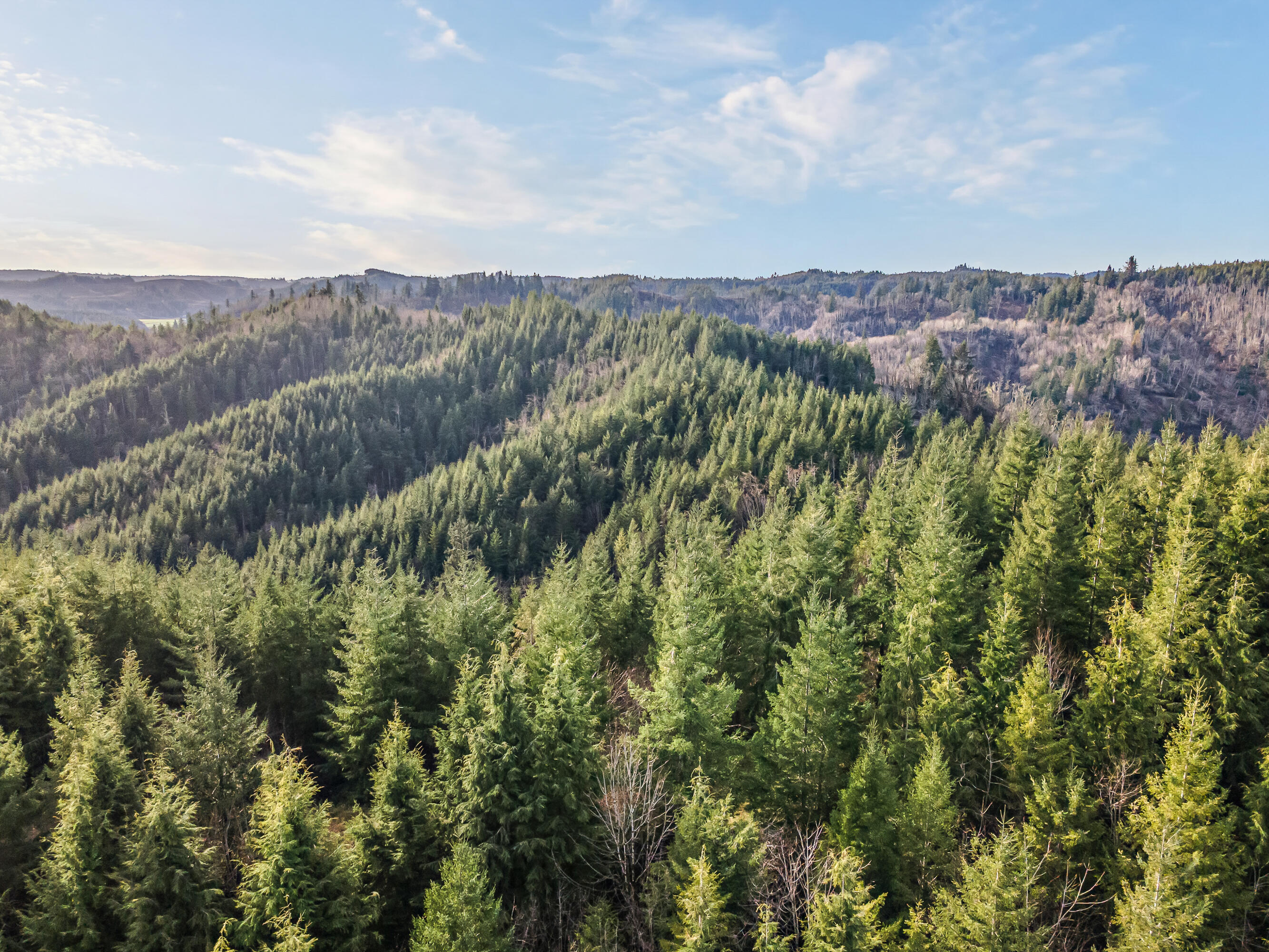 0 Criteser Loop Toledo, OR 97391 - Photo 22 of 31 DJI_0699