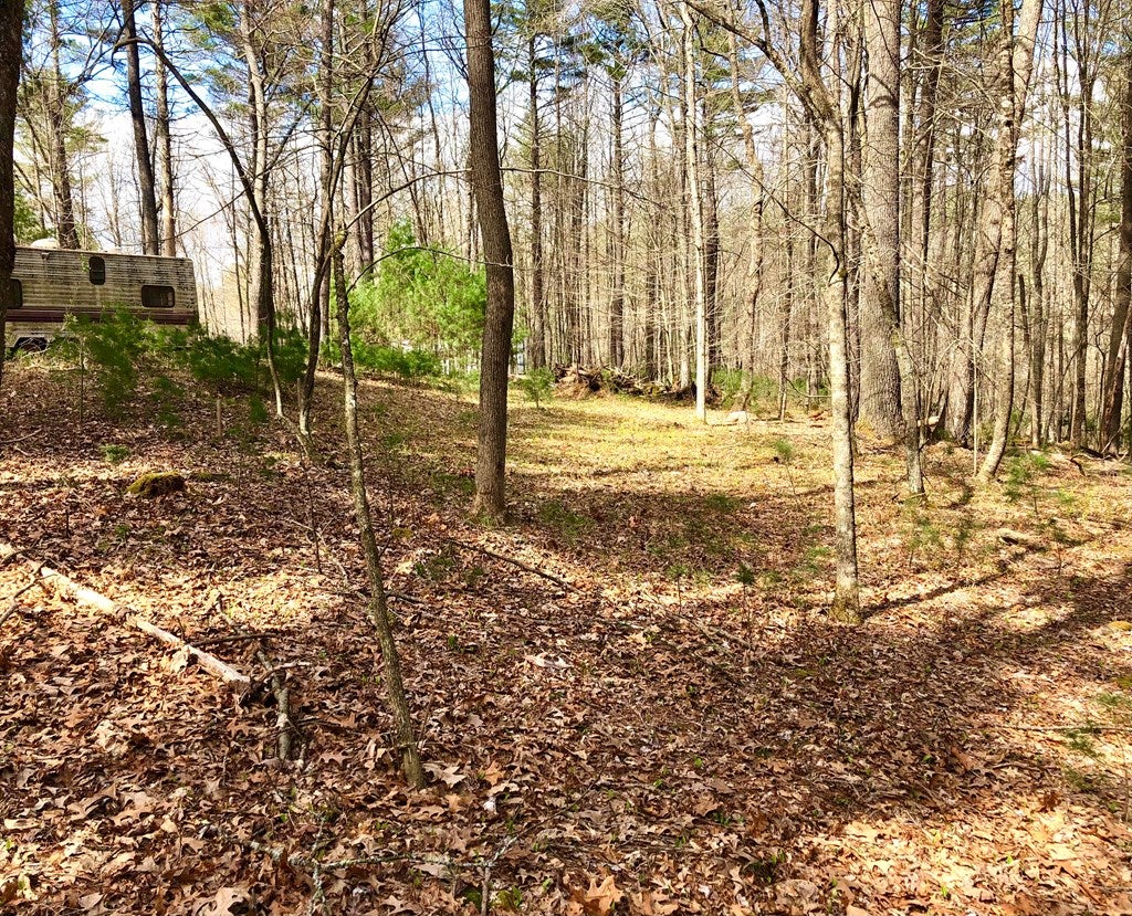 Tbd Millstone Road, Unit 16 Woodlawn, VA 24381 - Photo 10 of 12 Gallery Image 10