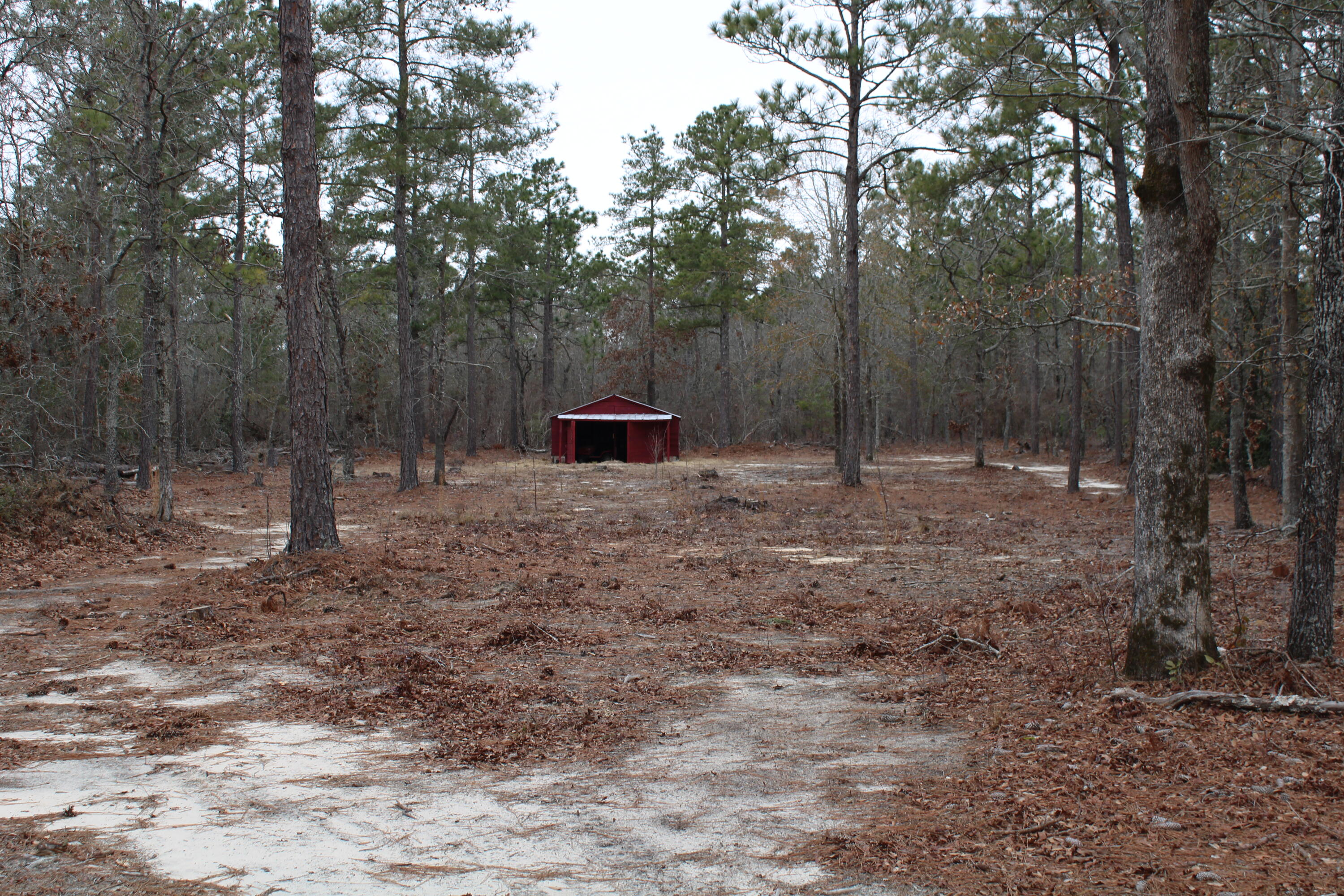 2916 Edisto Church Road Williston, SC 29853 - Photo 4 of 7