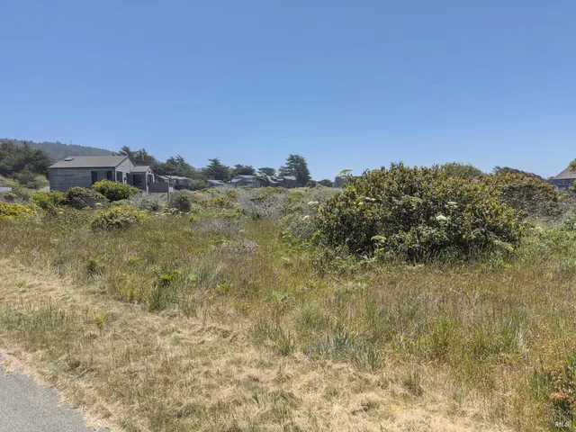 a view of a bunch of trees in a field