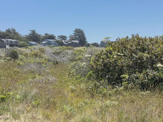 a view of a field of grass and trees