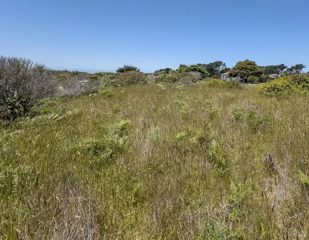 a view of a mountain