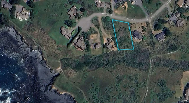 a view of a yard with plants