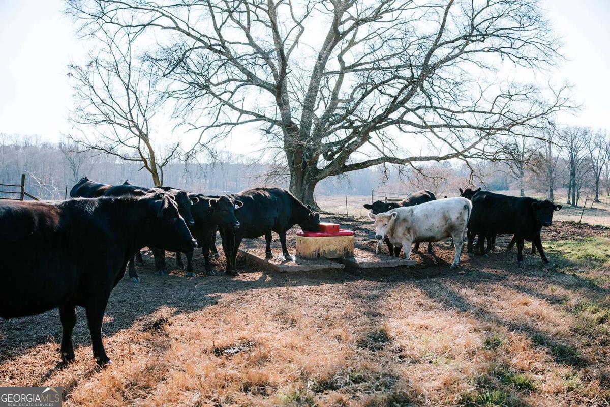 119 A Ralph Bridges Road Lexington, GA 30648 - Photo 18 of 79