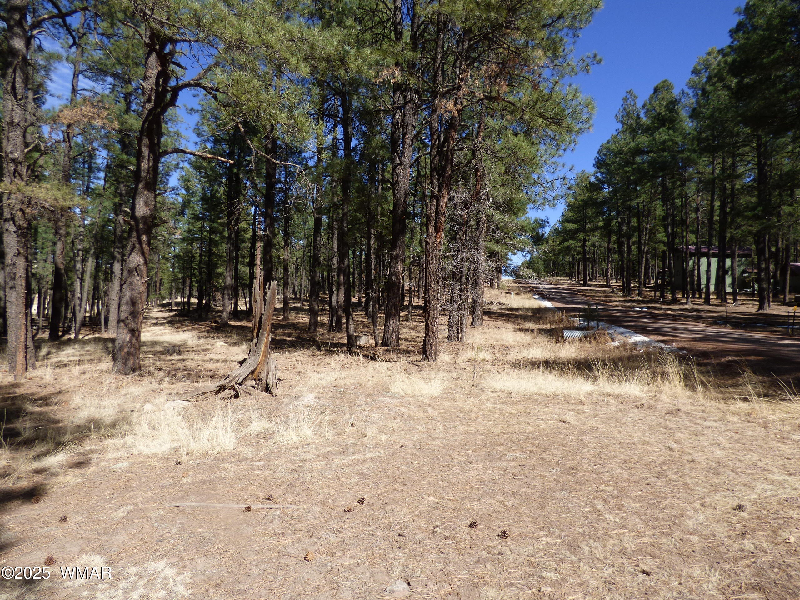 8 B County Road 2267 Road Alpine, AZ 85920 - Photo 11 of 55 P1330541